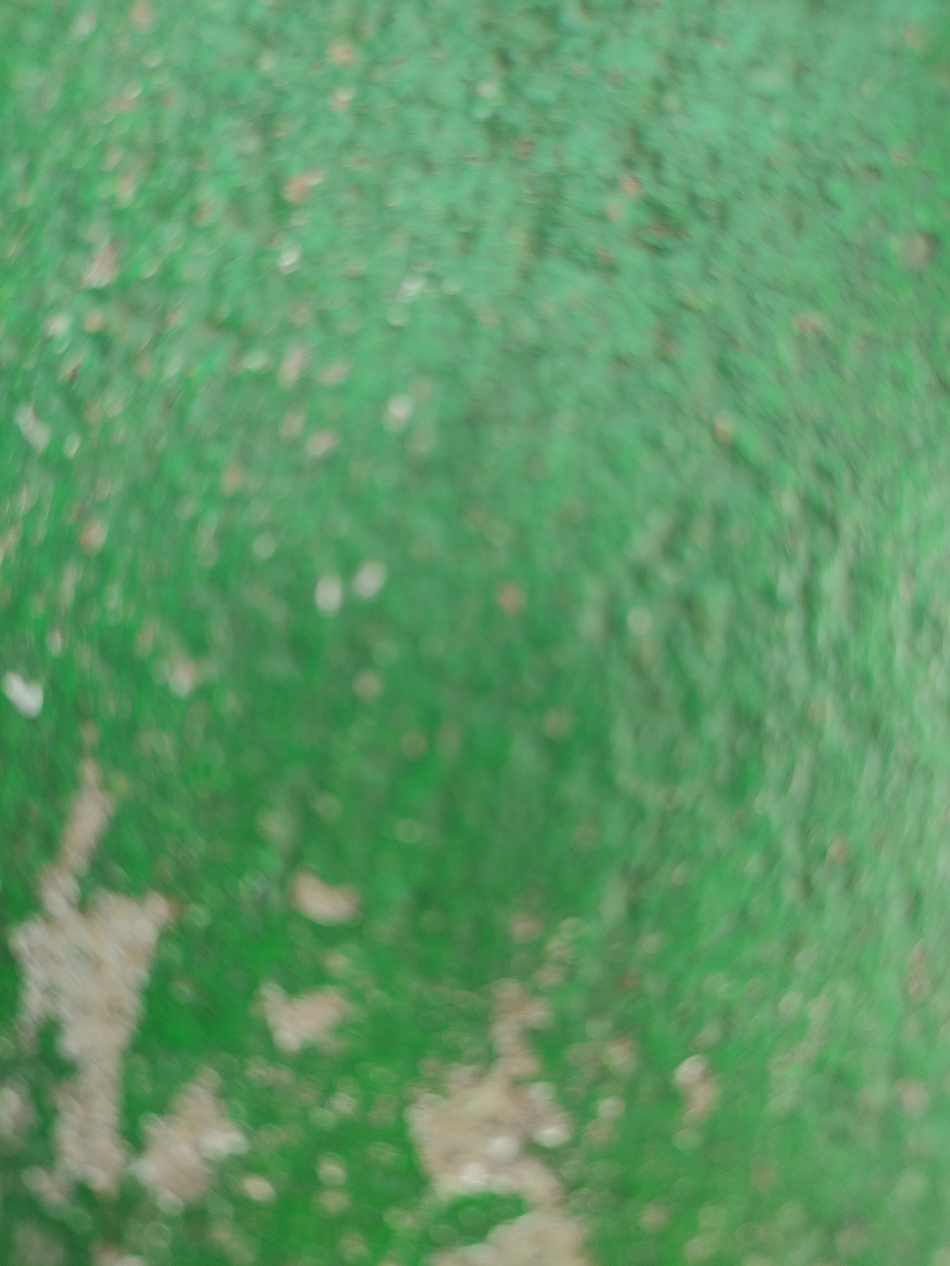 CCTV - turkayamjal